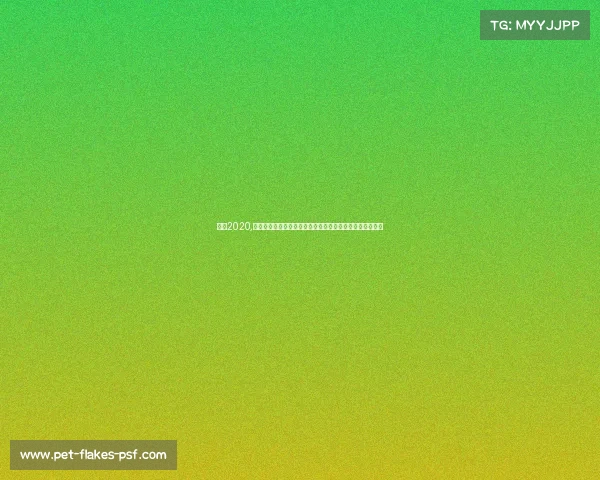 桌球2020,桌球赛事精彩视频盛宴重温顶尖高手巅峰对决激动瞬间集锦