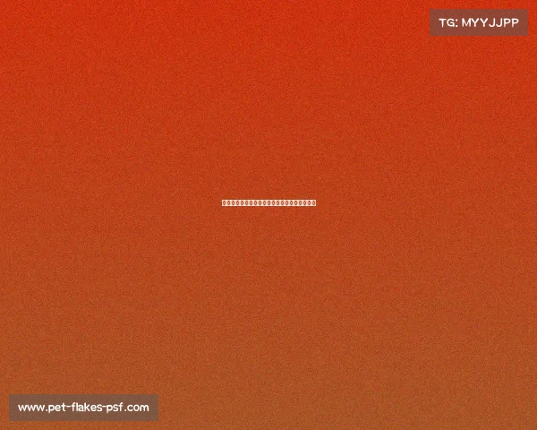 绿茵场不朽传奇赛事回顾足球世界巅峰荣耀时刻