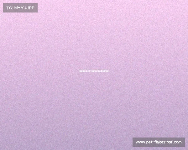 青少年武术赛事-青少年武术锦标赛比赛项目